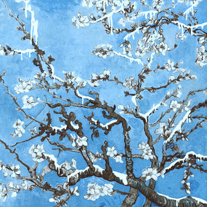 品爱阁下载安装
